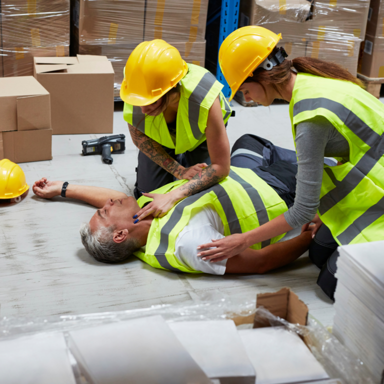 Disseny sense títol-3